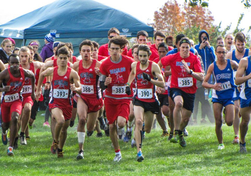 Les équipe féminine et masculine de crosscountry du cégep TR ont fait belle figure lors des derniers championnats régionaux.