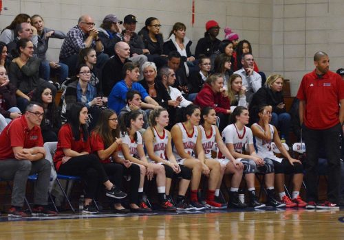 Spectateurs dans les estrades, entraineurs et joueuses sur le banc au cours d'un match de basketball féminin des Diablos