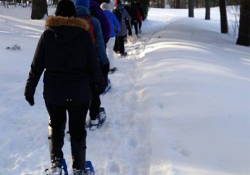 Des raquetteurs marchent en file indienne dans un sentier de neige