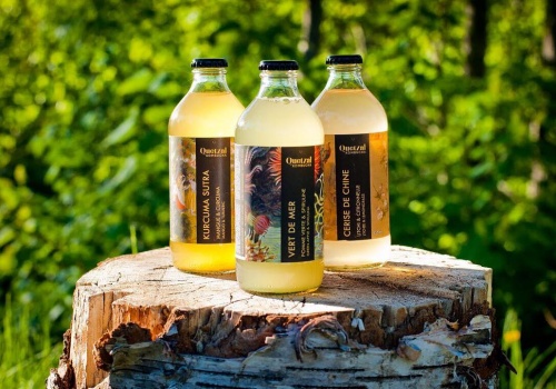 Trois bouteille de kombucha sur un tronc d'arbre